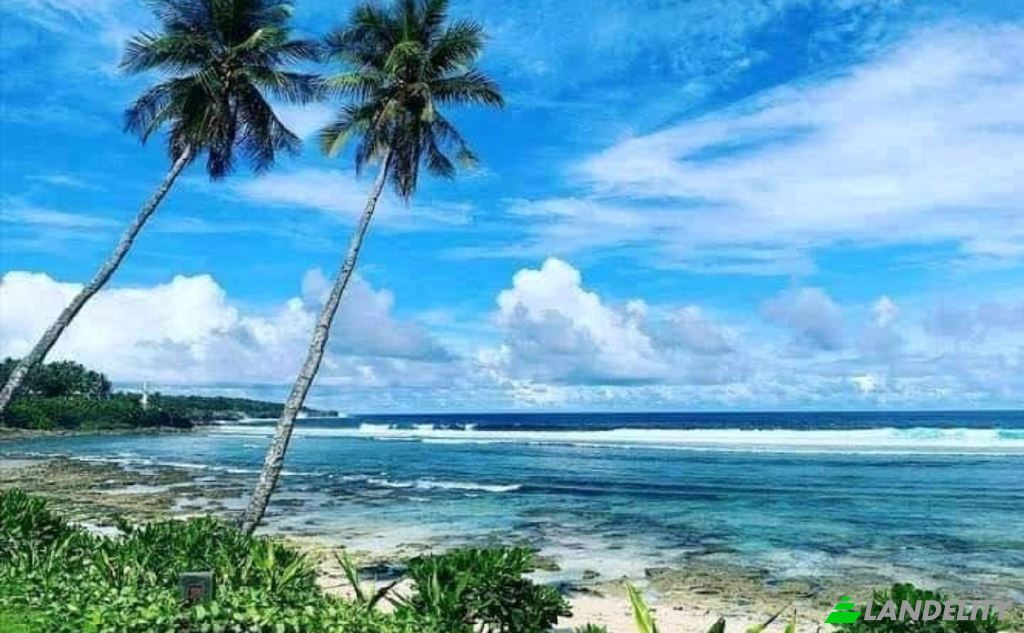 Land Lot for Sale Siargao Circumferential Rd, Del Carmen, San Benito, Surigao del Norte, Caraga, Philippines. Photo 3