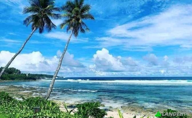 Land Lot for Sale Siargao Circumferential Rd. Photo#3 Land Lot for Sale Siargao Circumferential Rd. Photo#3