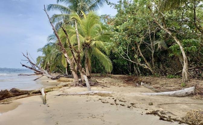 Investing/Development for Sale - Bastimentos Island, Panama