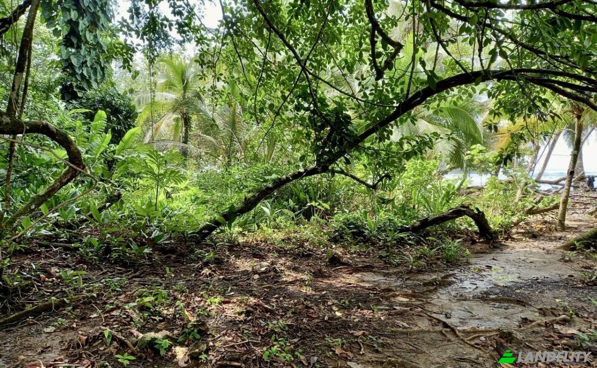 Investing/Development for Sale Parque Nacional Isla Bastimentos, Bastimento, Provincia de Bocas del Toro, Bastimentos Island, Bocas del Toro District, Bocas del Toro Province, Panama. Photo 11