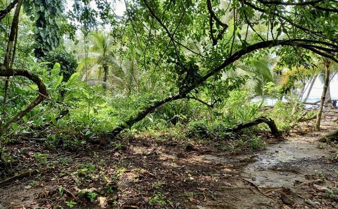 Investing/Development for Sale Parque Nacional. Photo#11 Investing/Development for Sale Parque Nacional. Photo#11