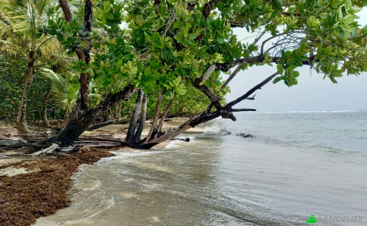Investing/Development for Sale Parque Nacional Isla Bastimentos, Bastimento, Provincia de Bocas del Toro, Bastimentos Island, Bocas del Toro District, Bocas del Toro Province, Panama. Photo 2