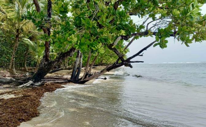 Investing/Development for Sale Parque Nacional. Photo#2 Investing/Development for Sale Parque Nacional. Photo#2