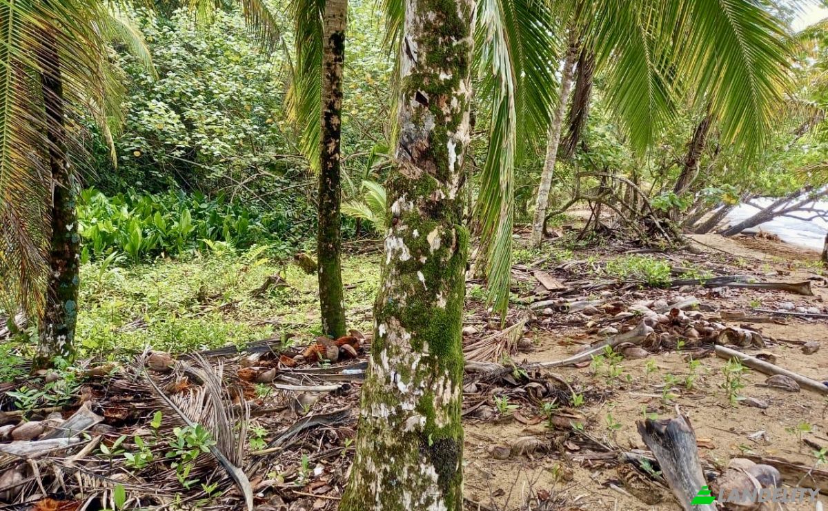 Investing/Development for Sale Parque Nacional Isla Bastimentos, Bastimento, Provincia de Bocas del Toro, Bastimentos Island, Bocas del Toro District, Bocas del Toro Province, Panama. Photo 4