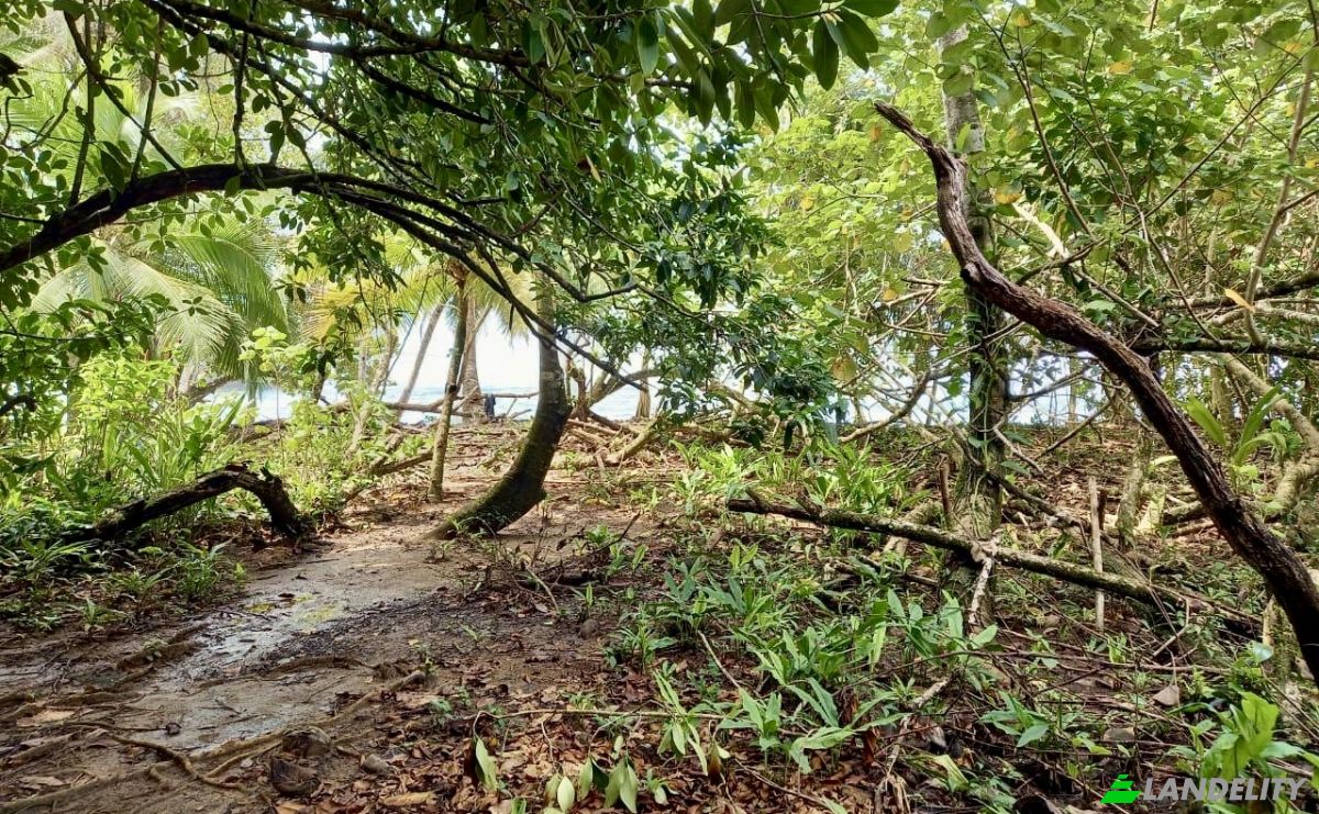 Investing/Development for Sale Parque Nacional Isla Bastimentos, Bastimento, Provincia de Bocas del Toro, Bastimentos Island, Bocas del Toro District, Bocas del Toro Province, Panama. Photo 5