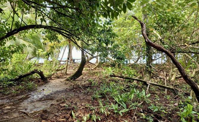 Investing/Development for Sale Parque Nacional. Photo#5 Investing/Development for Sale Parque Nacional. Photo#5