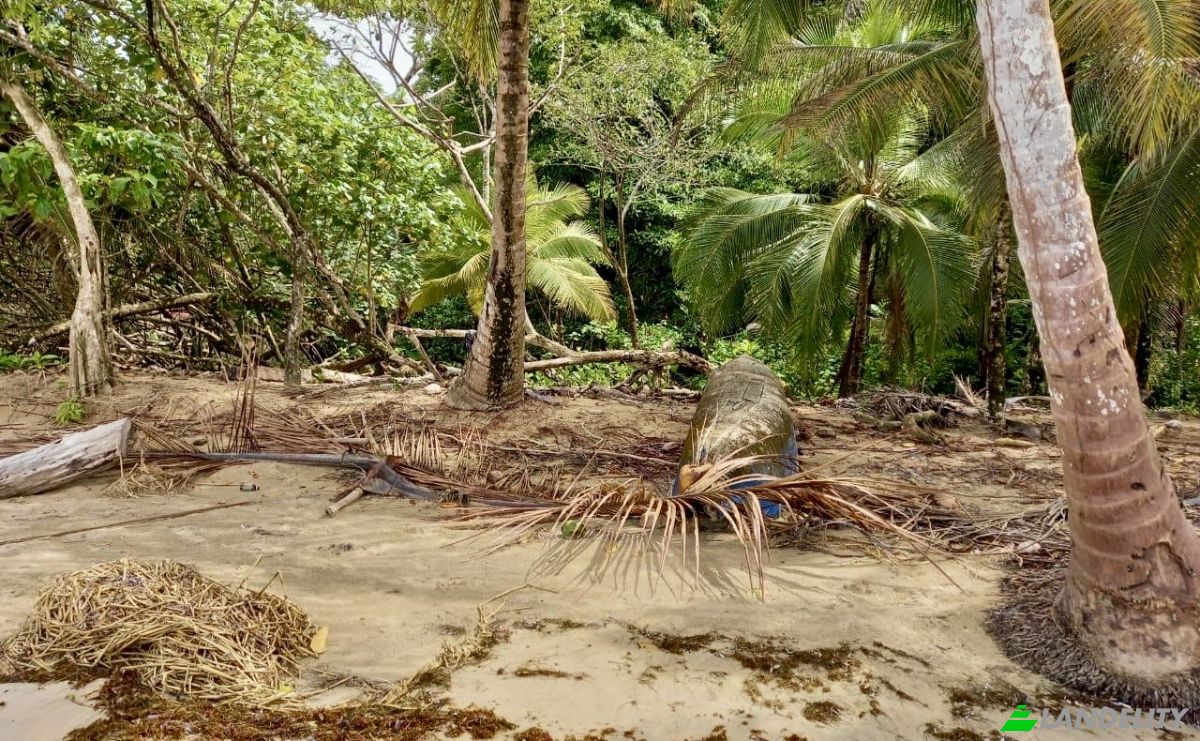 Investing/Development for Sale Parque Nacional Isla Bastimentos, Bastimento, Provincia de Bocas del Toro, Bastimentos Island, Bocas del Toro District, Bocas del Toro Province, Panama. Photo 6