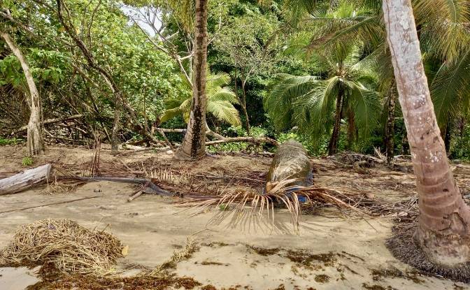 Investing/Development for Sale Parque Nacional. Photo#6 Investing/Development for Sale Parque Nacional. Photo#6