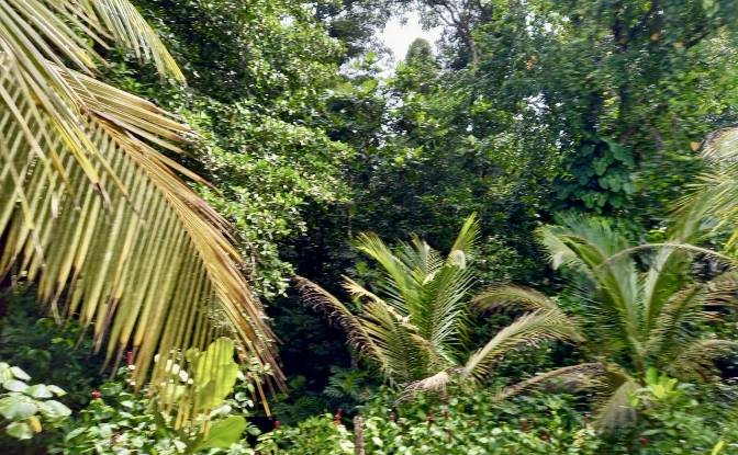 Investing/Development for Sale Parque Nacional. Photo#8 Investing/Development for Sale Parque Nacional. Photo#8