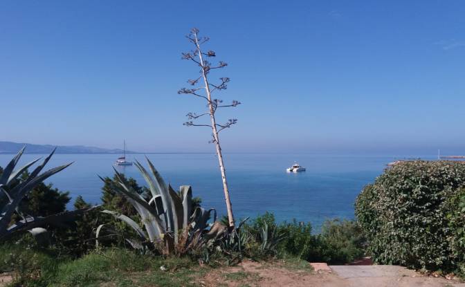 Apartment for Sale Via Tinnari, 07038 Paduledda SS. Photo#16