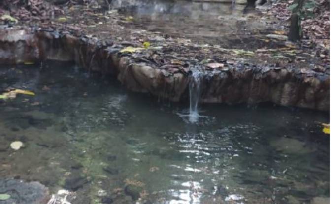 Investing/Development for Sale - Provincia de Puntarenas, Costa Rica