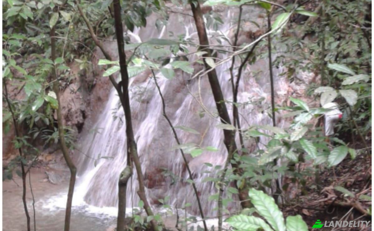 Investing/Development for Sale Via Sin Nombre, Provincia de Puntarenas, Puntarenas, Puntarenas Province, Costa Rica. Photo 10
