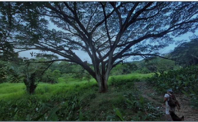 Investing/Development for Sale Via Sin Nombre. Photo#2