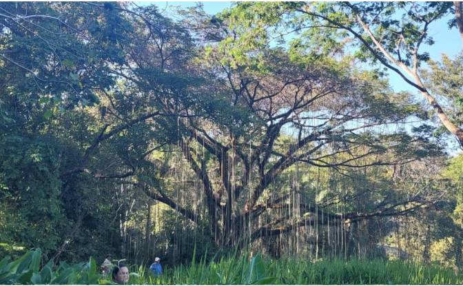 Investing/Development for Sale Via Sin Nombre. Photo#3