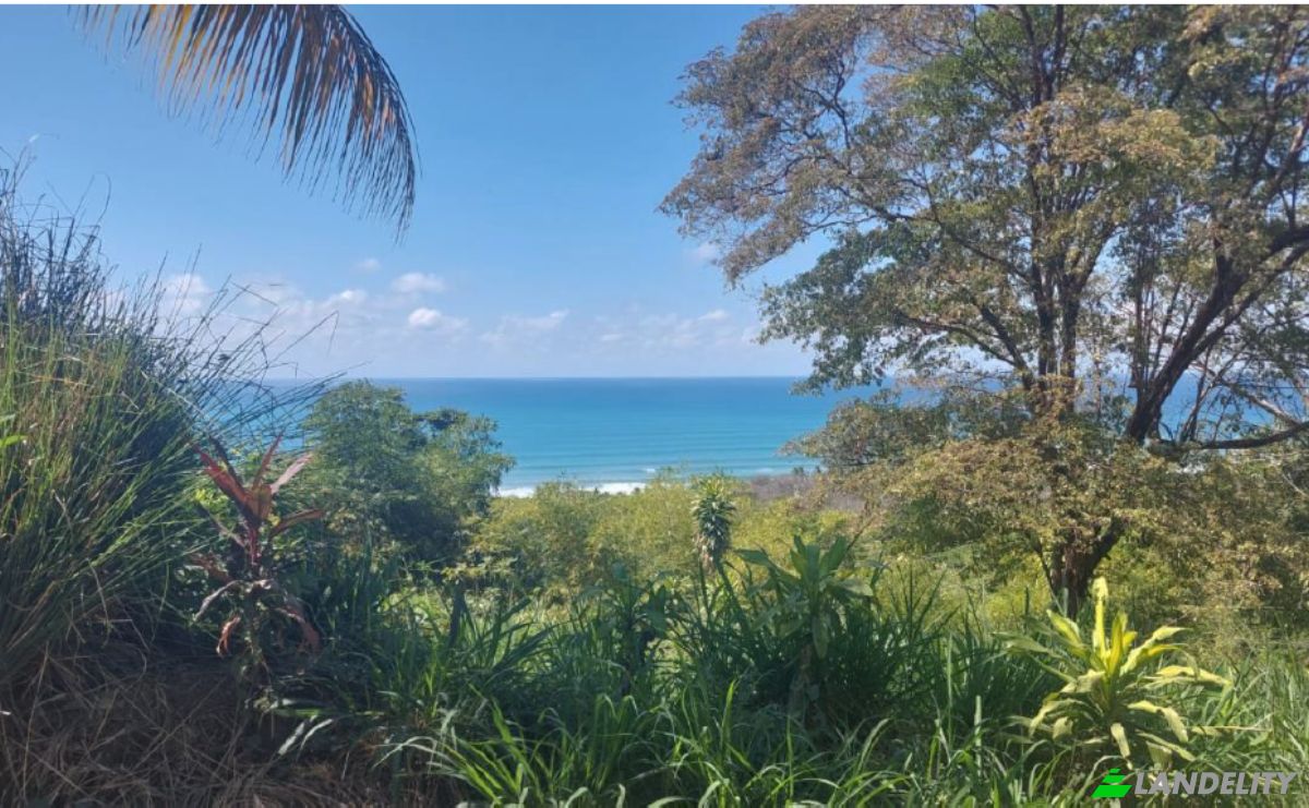 Investing/Development for Sale Via Sin Nombre, Provincia de Puntarenas, Puntarenas, Puntarenas Province, Costa Rica. Photo 5