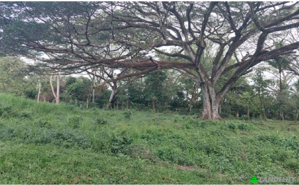 Investing/Development for Sale Via Sin Nombre, Provincia de Puntarenas, Puntarenas, Puntarenas Province, Costa Rica. Photo 8