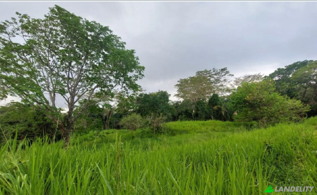 Investing/Development for Sale Via Sin Nombre, Provincia de Puntarenas, Puntarenas, Puntarenas Province, Costa Rica. Photo 9