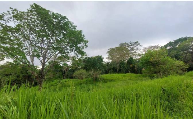 Investing/Development for Sale Via Sin Nombre. Photo#9