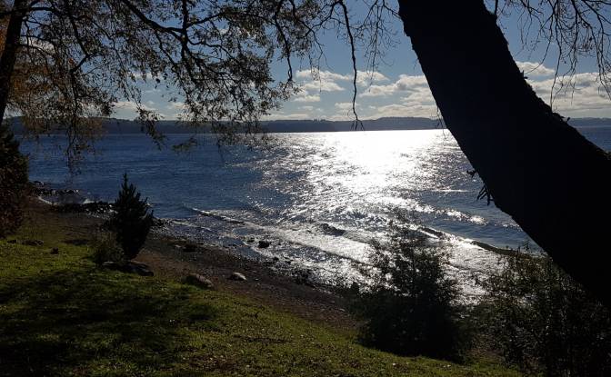 Land Lot for Sale Frutillar, Llanquihue Province. Photo#19