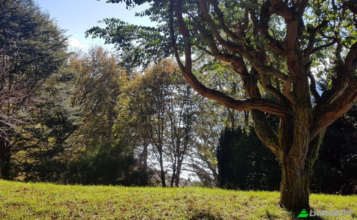 Land Lot for Sale Frutillar, Llanquihue Province, Los Lagos, Chile. Photo 20