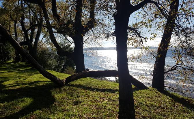 Land Lot for Sale Frutillar, Llanquihue Province. Photo#10