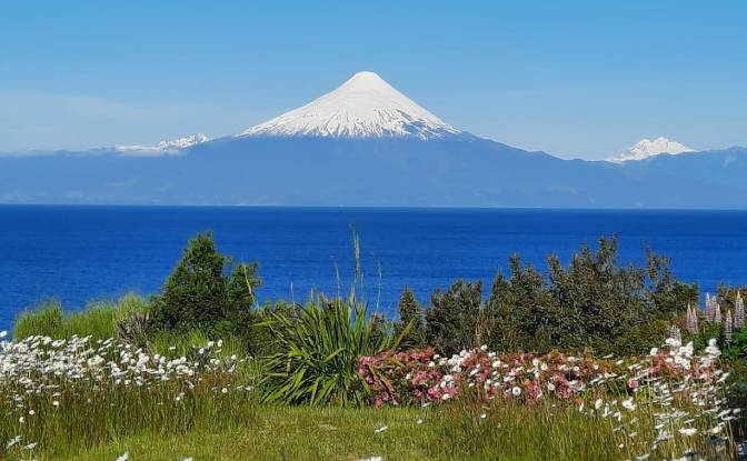 Land Lot for Sale Frutillar, Llanquihue Province. Photo#9