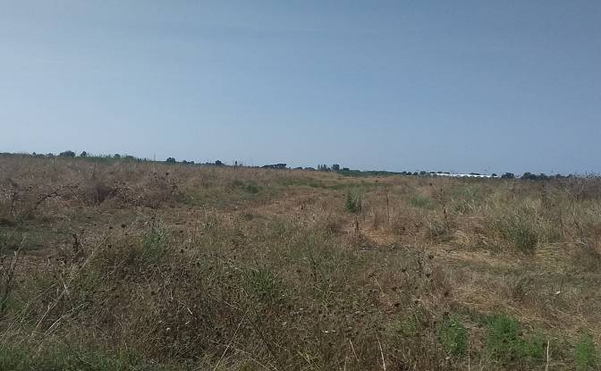 Land Lot for Sale Denizkent, Manavgat, Antalya. Photo#2 Land Lot for Sale Denizkent, Manavgat, Antalya. Photo#2