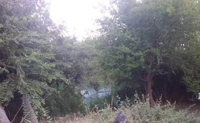 Land Lot for Sale Denizkent, Manavgat, Antalya. Photo#6 Land Lot for Sale Denizkent, Manavgat, Antalya. Photo#6