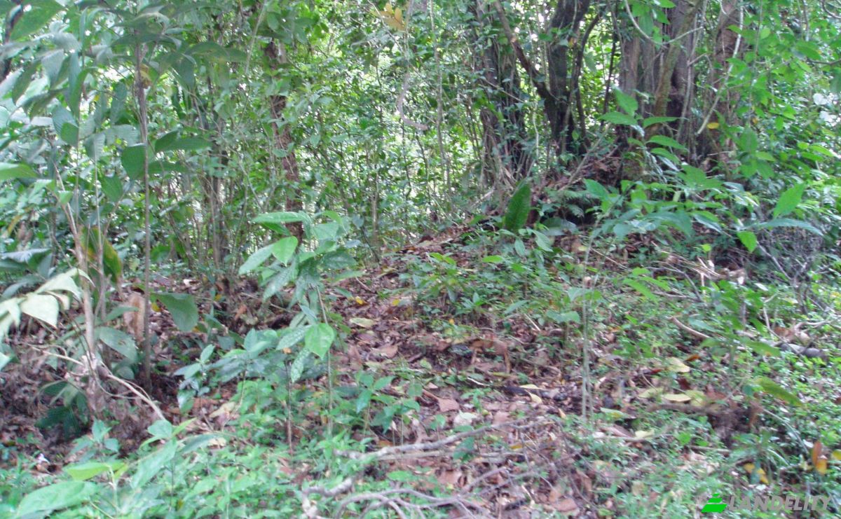 Land Lot for Sale Via Sin Nombre, Provincia de Guanacaste, Tilaran, Guanacaste Province, Costa Rica. Photo 9