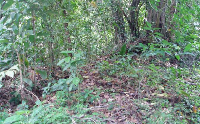 Land Lot for Sale Via Sin Nombre. Photo#9