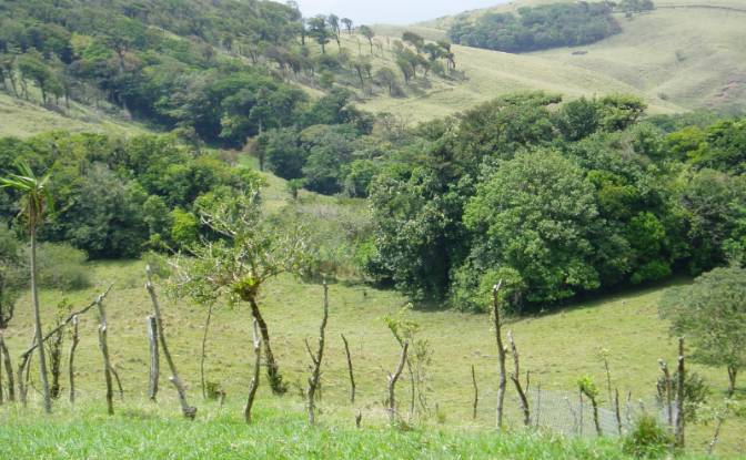 Land Lot for Sale Via Sin Nombre. Photo#11