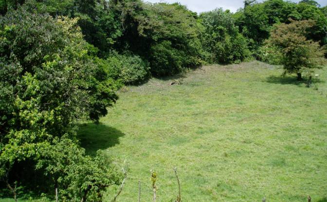 Land Lot for Sale Via Sin Nombre. Photo#12