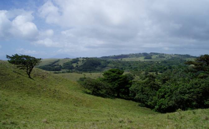 Land Lot for Sale Via Sin Nombre. Photo#15