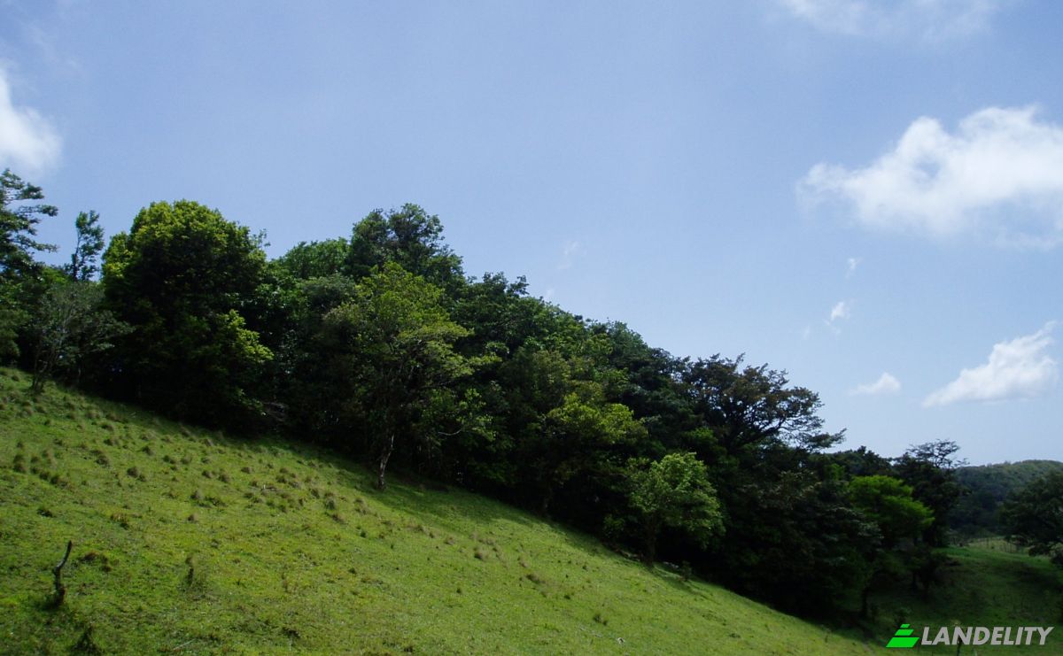 Land Lot for Sale Via Sin Nombre, Provincia de Guanacaste, Tilaran, Guanacaste Province, Costa Rica. Photo 17