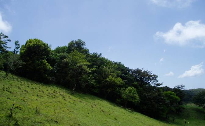 Land Lot for Sale Via Sin Nombre. Photo#17