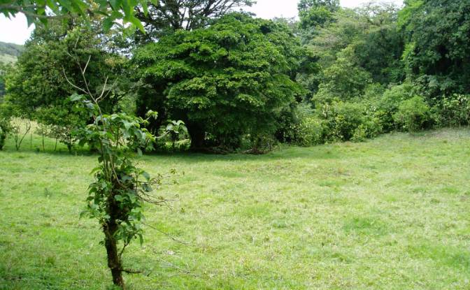 Land Lot for Sale Via Sin Nombre. Photo#18