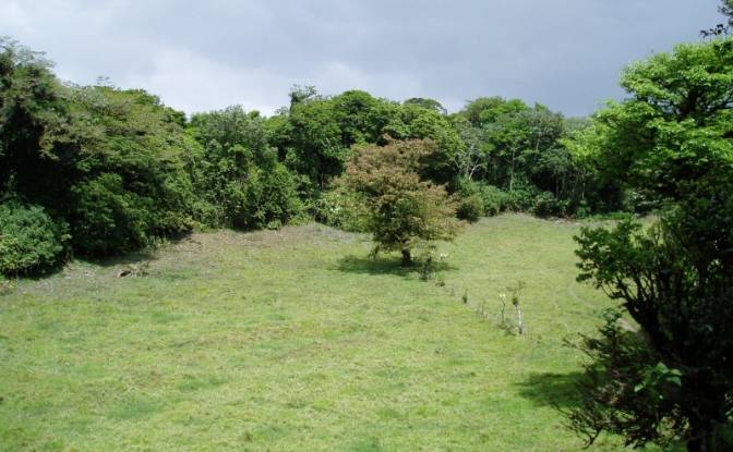 Land Lot for Sale Via Sin Nombre. Photo#19