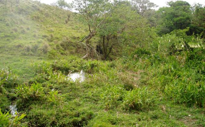 Land Lot for Sale Via Sin Nombre. Photo#2