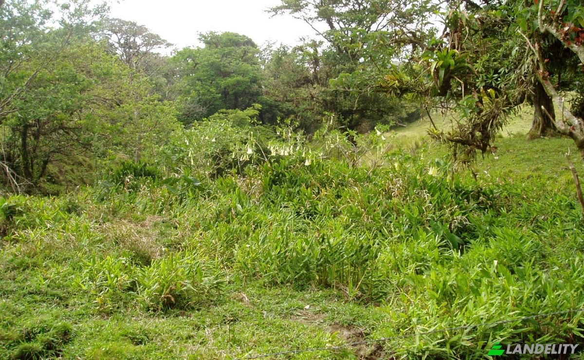 Land Lot for Sale Via Sin Nombre, Provincia de Guanacaste, Tilaran, Guanacaste Province, Costa Rica. Photo 3