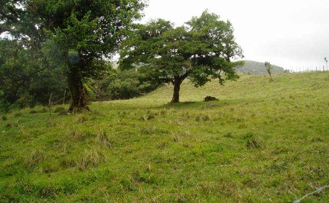 Land Lot for Sale Via Sin Nombre. Photo#4