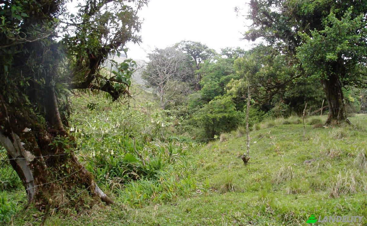 Land Lot for Sale Via Sin Nombre, Provincia de Guanacaste, Tilaran, Guanacaste Province, Costa Rica. Photo 5
