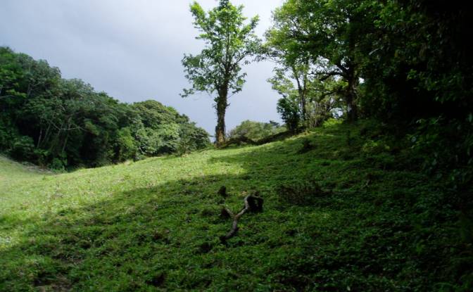 Land Lot for Sale Via Sin Nombre. Photo#6