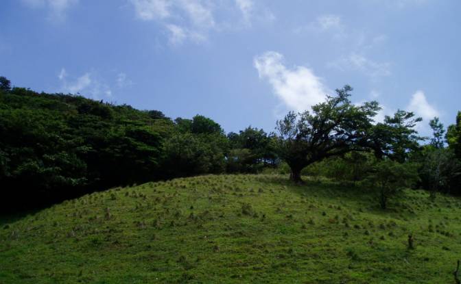 Land Lot for Sale Via Sin Nombre. Photo#7