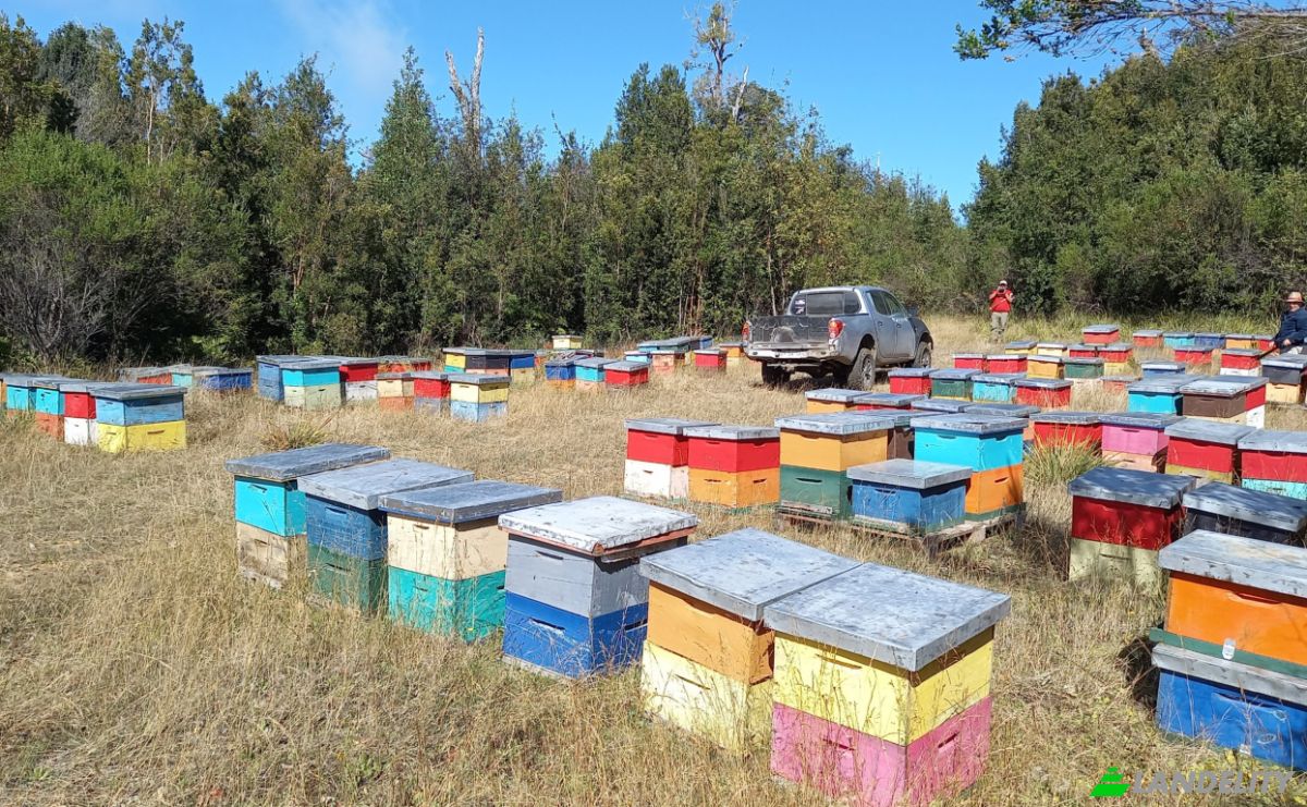 Investing/Development for Sale Fresia, Llanquihue Province, Los Lagos, Chile. Photo 1