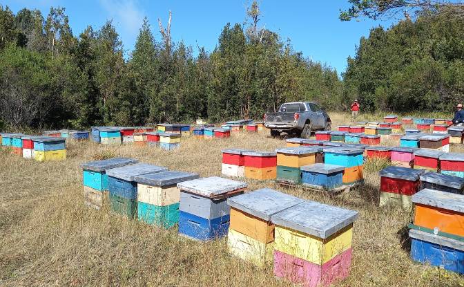 Investing/Development for Sale - Fresia, Chile