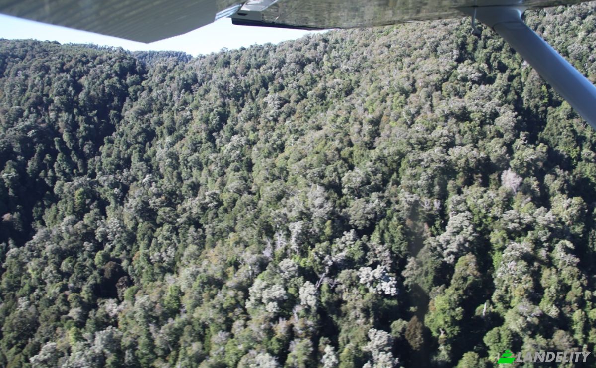 Investing/Development for Sale Fresia, Llanquihue Province, Los Lagos, Chile. Photo 10