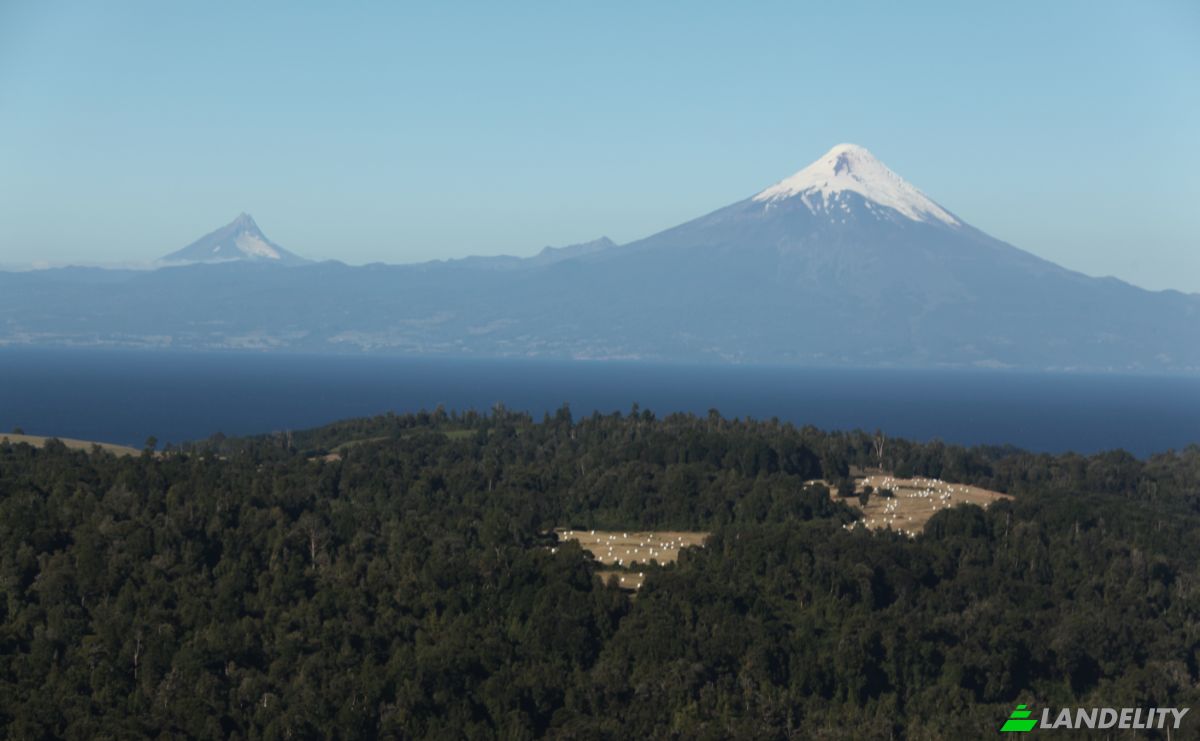 Investing/Development for Sale Fresia, Llanquihue Province, Los Lagos, Chile. Photo 17