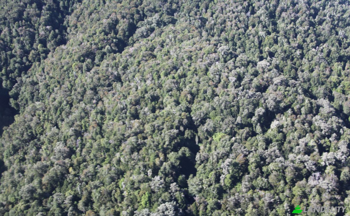 Investing/Development for Sale Fresia, Llanquihue Province, Los Lagos, Chile. Photo 5