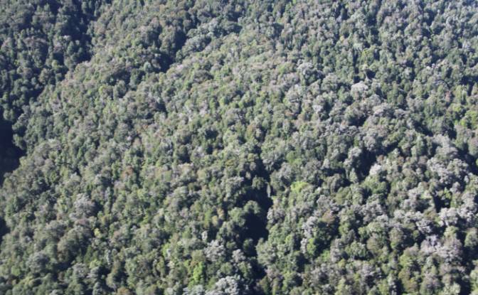 Investing/Development for Sale Fresia. Photo#5 Investing/Development for Sale Fresia. Photo#5