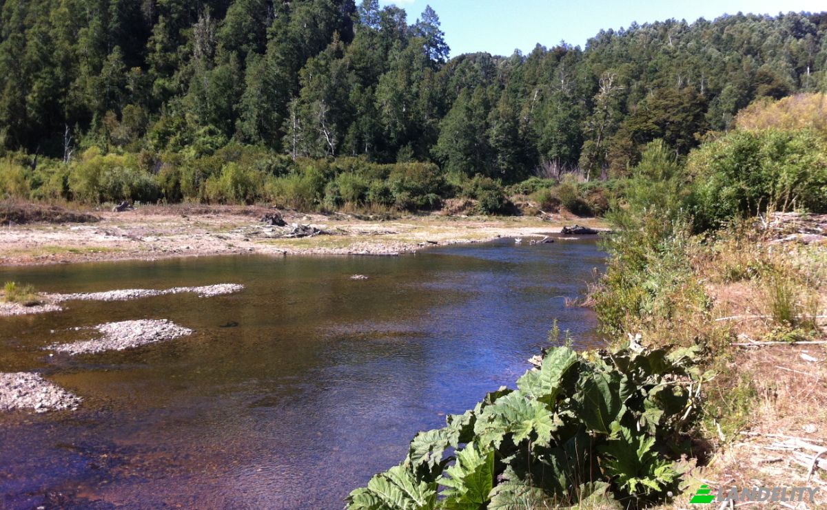 Investing/Development for Sale Fresia, Llanquihue Province, Los Lagos, Chile. Photo 8
